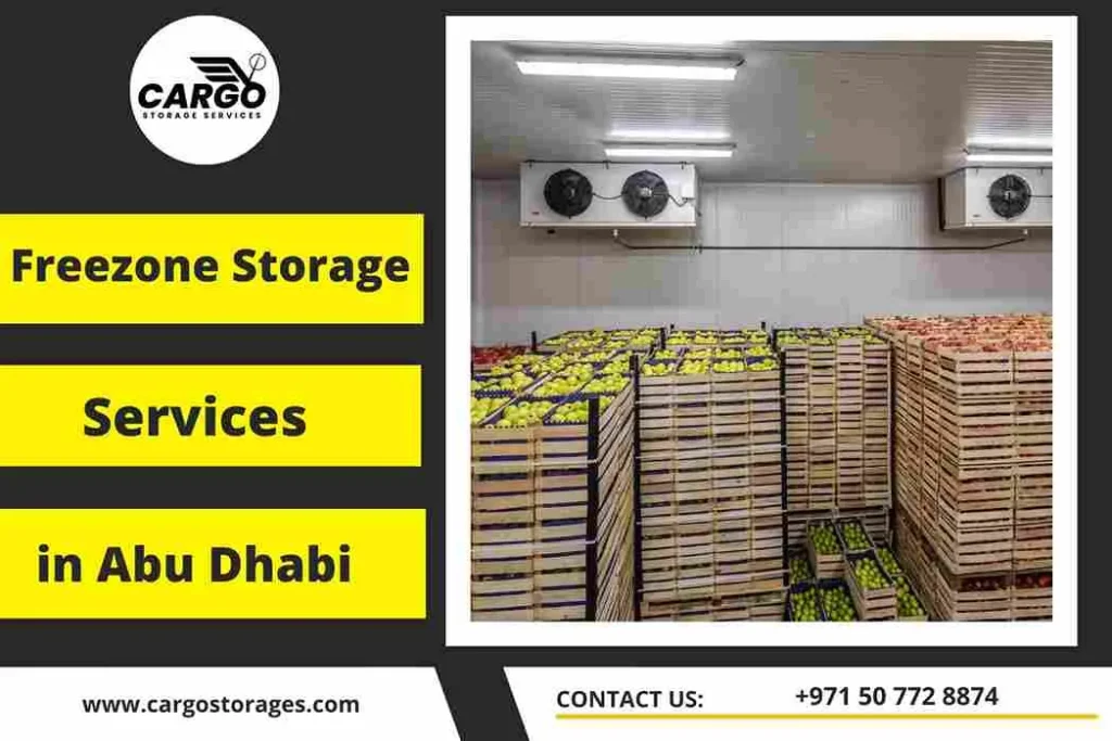 Freezone Storage Services in Abu Dhabi