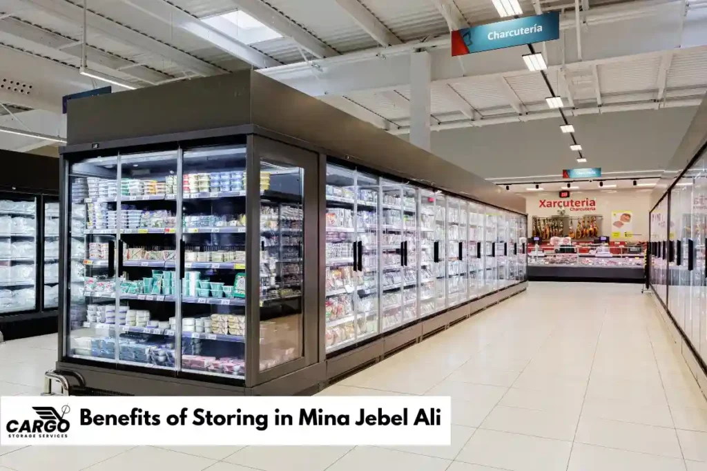 Benefits of Storing in Mina Jebel Ali