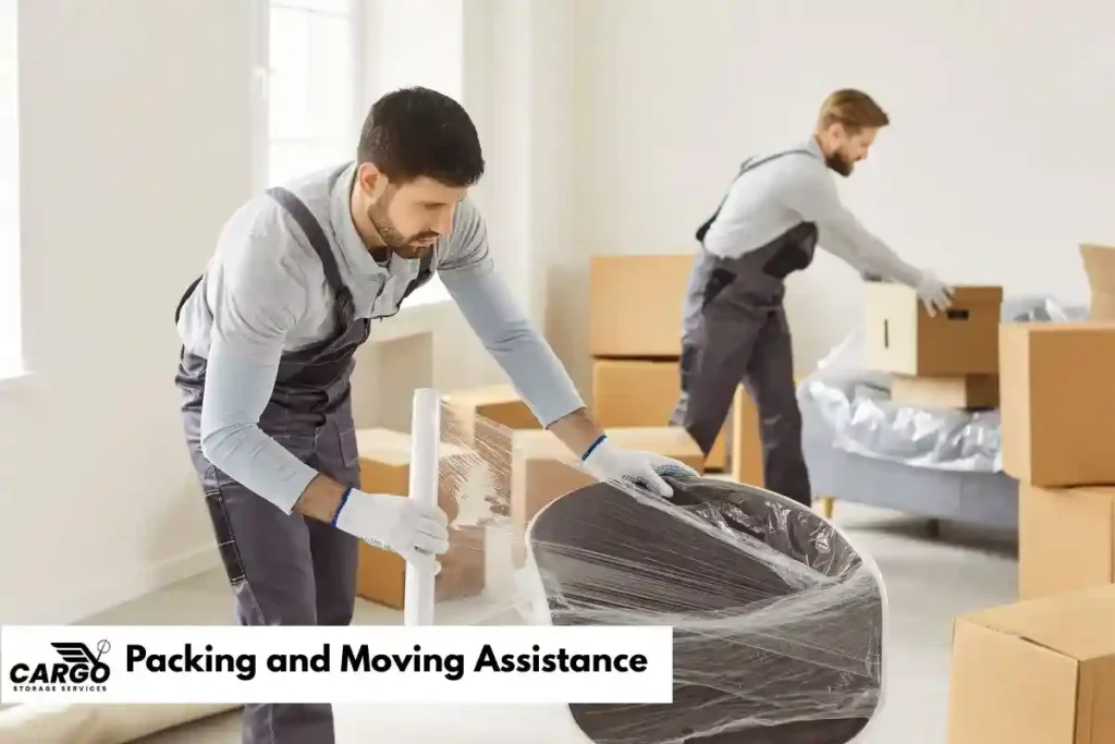 Packing and Moving Assistance