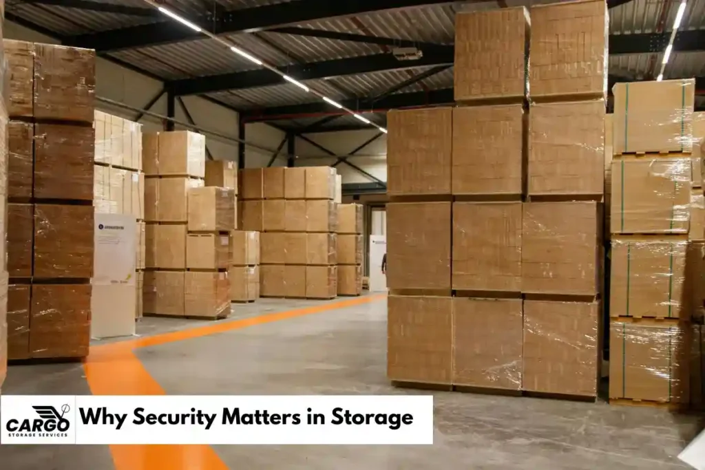 Why Security Matters in Storage