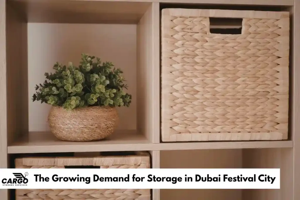 The Growing Demand for Storage in Dubai Festival City