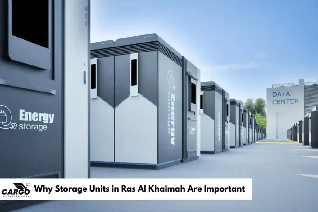 Why Storage Units in Ras Al Khaimah Are Important